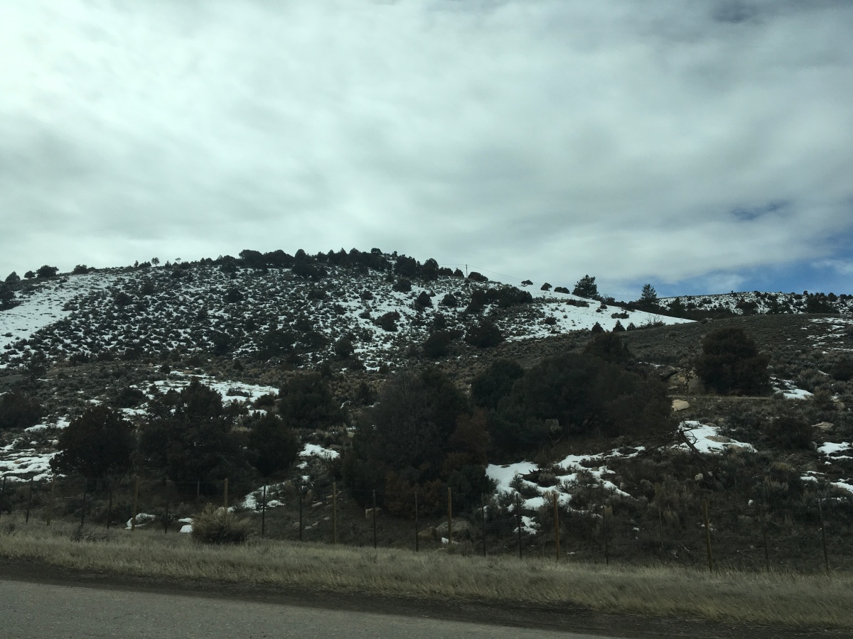 Day 1: Colorado